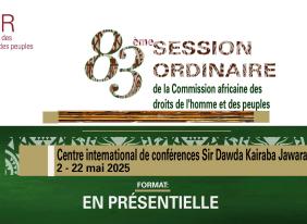 83e session ordinaire de la commission africaine des droits de l'homme et des peuples